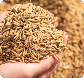 Món ngon với Dầu Đậu nành ShinyO 9