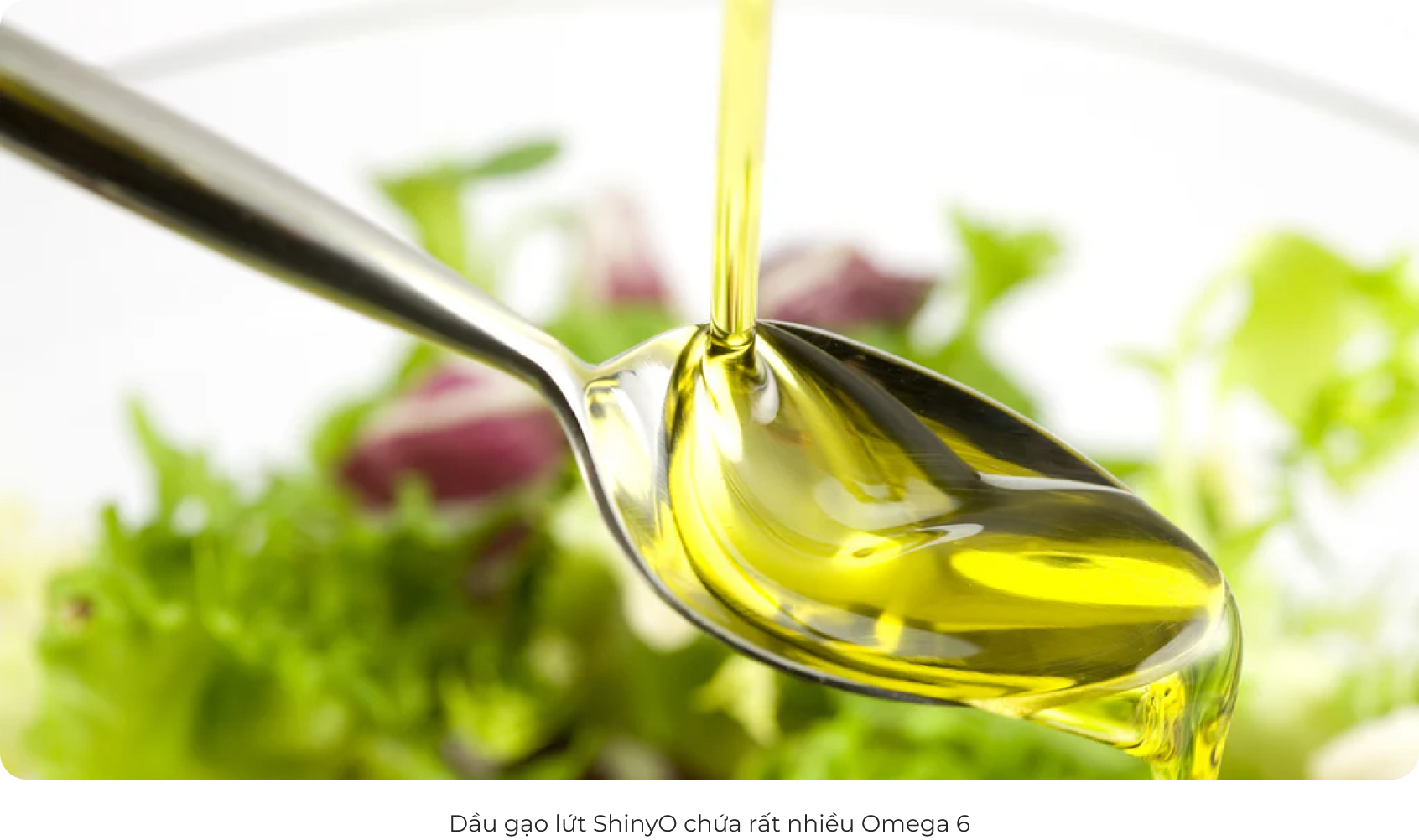 Món ngon với Dầu Gạo lứt ShinyO 2